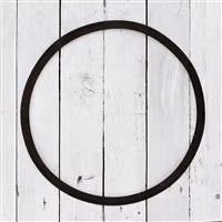 Cold Brew Coffee System Filter Gasket / 