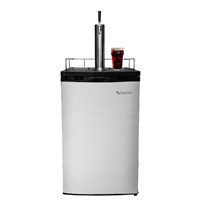 Cold Brew Coffee Kegerator - Single Tap for Iced Coffee (Silver) / 